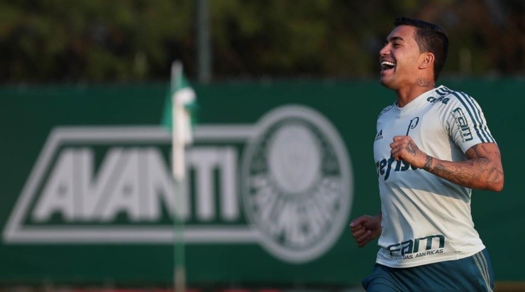 Dudu sonha em jogar mais oito anos pelo Palmeiras. Foto: César Greco/ Palmeiras
