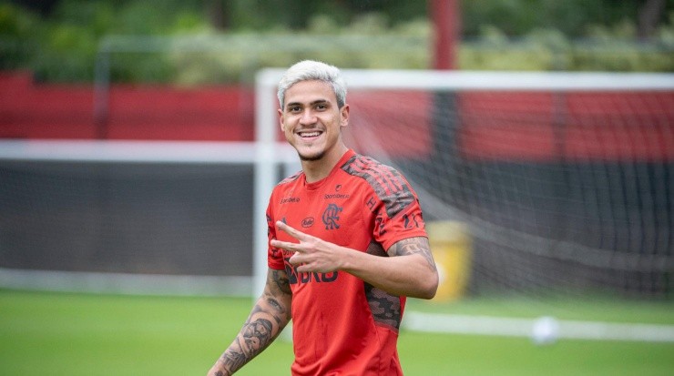 Casagrande rasgou elogios ao atacante Pedro, do Flamengo. Foto: Alexandre Vidal/ Flamengo