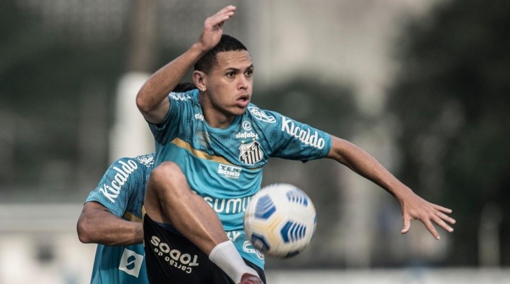 Foto: Ivan Storti/Santos FC