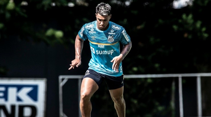 Marcos Leonardo está fora da primeira fase da Copa Sul-Americana. Foto: Ivan Storti/ Santos