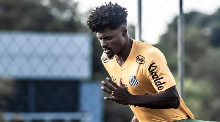 Eduardo Bauermann quer Santos mais focado na Copa Sul-Americana. Foto: Ivan Storti/ Santos FC