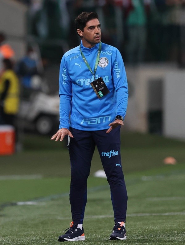 (Foto: Cesar Greco/Palmeiras)