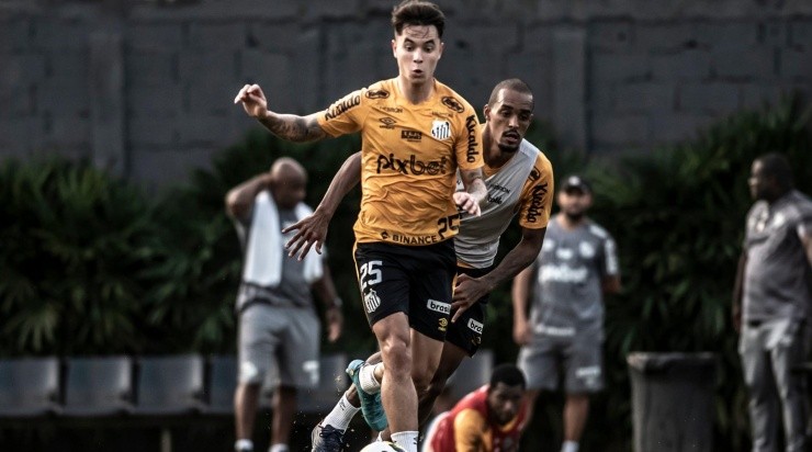 Foto: Ivan Storti/Santos FC/Divulgação - Zanocelo: cedido pela Ferroviária por mais um ano