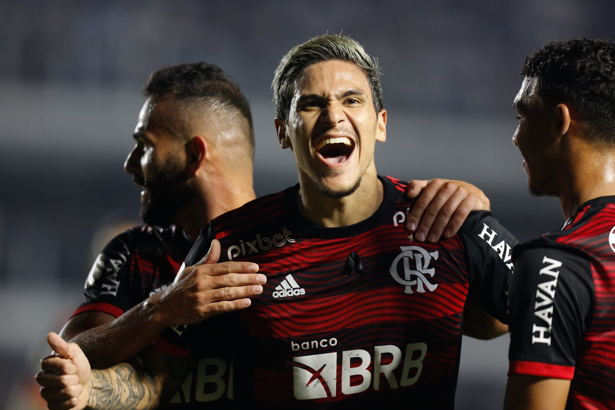 Foto: Gilvan de Souza/Flamengo – Pedro é pretendido por clube de Silvio Berlusconi, dono do Monza-ITA