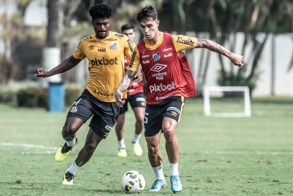 Foto: Ivan Storti/Santos FC – Zanocelo tem contrato no Santos até outubro de 2027
