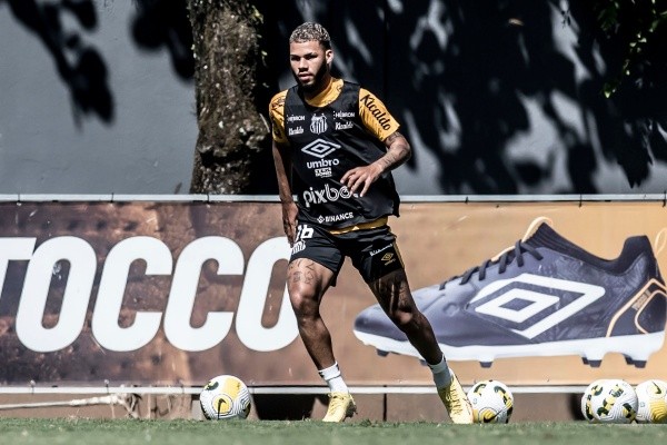 Flickr Oficial do time: Ivan Storti/Flickr Oficial Santos – Nathan pode aparecer como titular do Peixe
