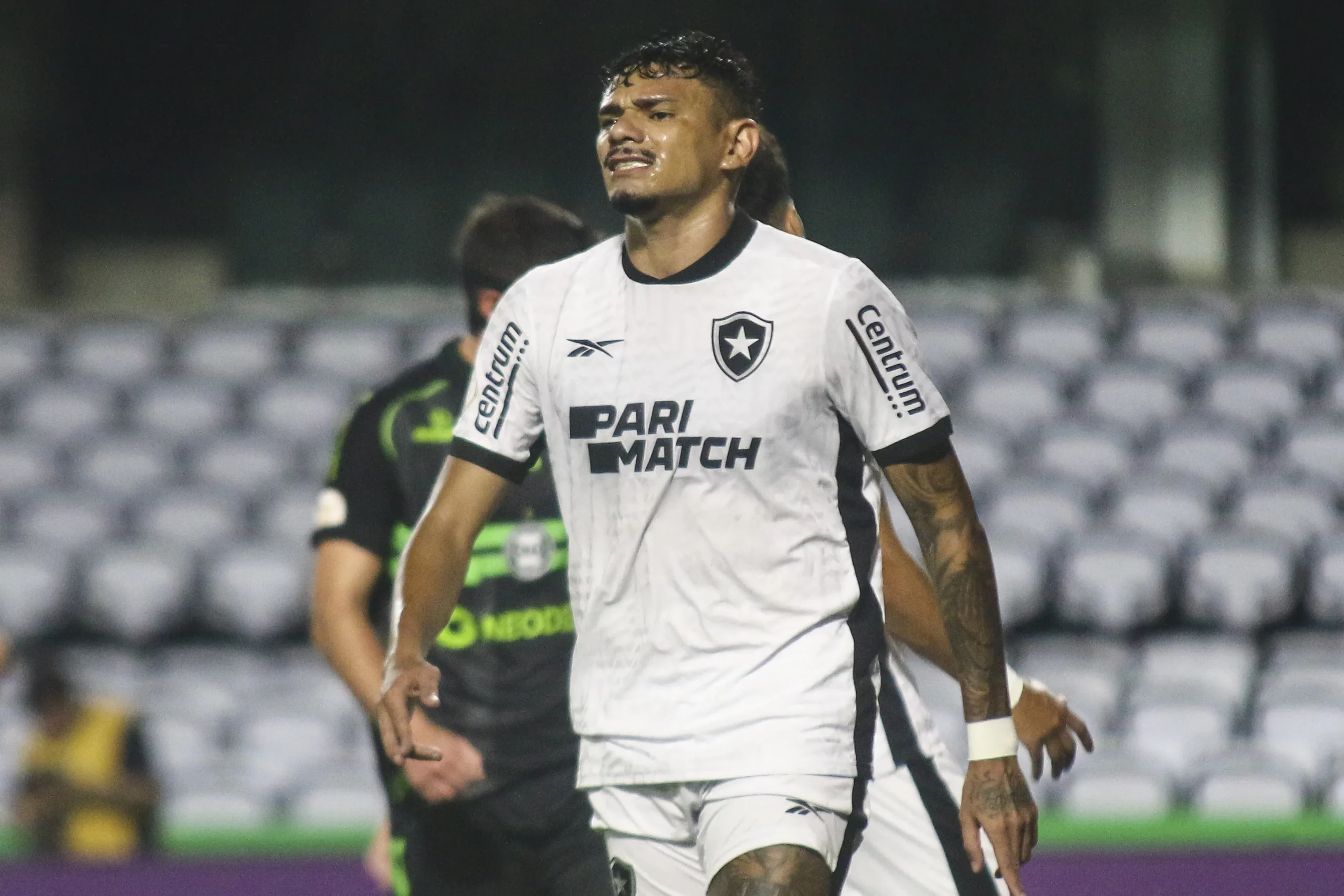 Botafogo acabou perdendo vantagem de 13 pontos em 2023. Foto: Gabriel Machado/AGIF