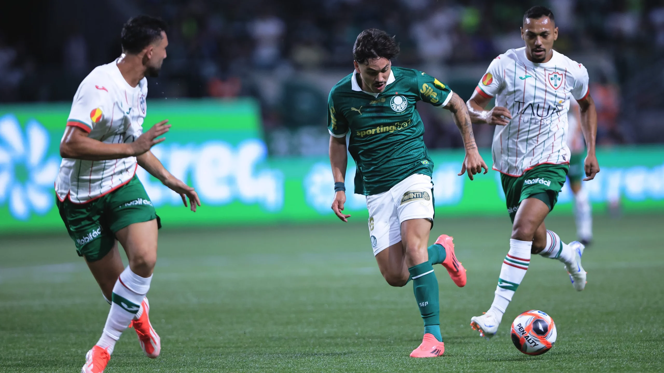 Portuguesa x Palmeiras. Foto: Ettore Chiereguini/AGIF