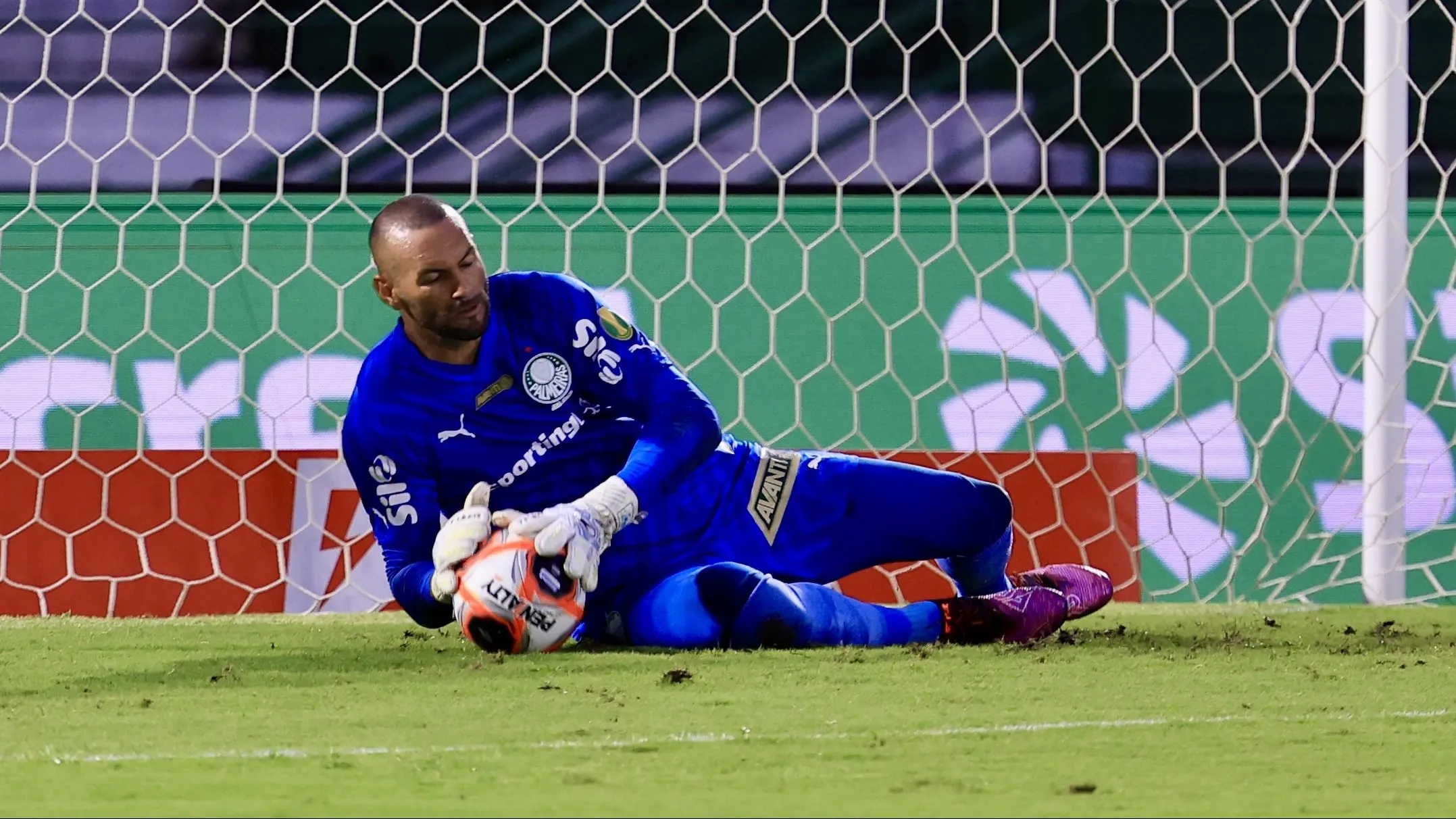 Weverton em ação pelo Verdão. Para São Marcos, ele deve ser o primeiro da hierarquia nesse início de temporada – Foto: Marcello Zambrana/AGIF