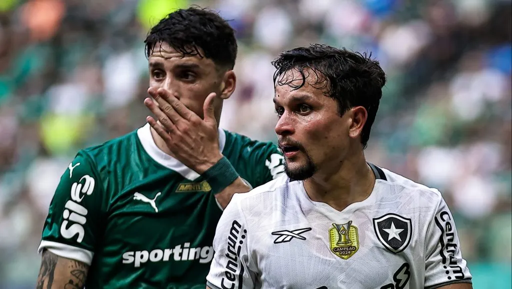 Palmeiras x Botafogo - Foto: Fabio Giannelli/AGIF.