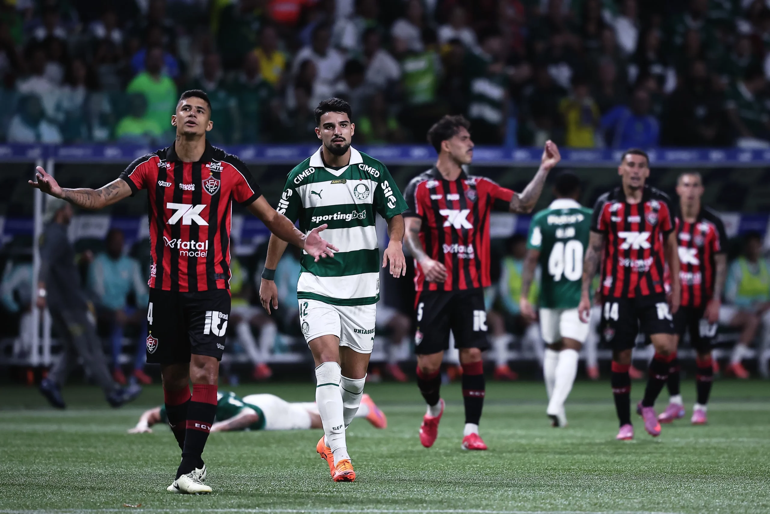 Palmeiras x Vitória. Foto: Ettore Chiereguini/AGIF