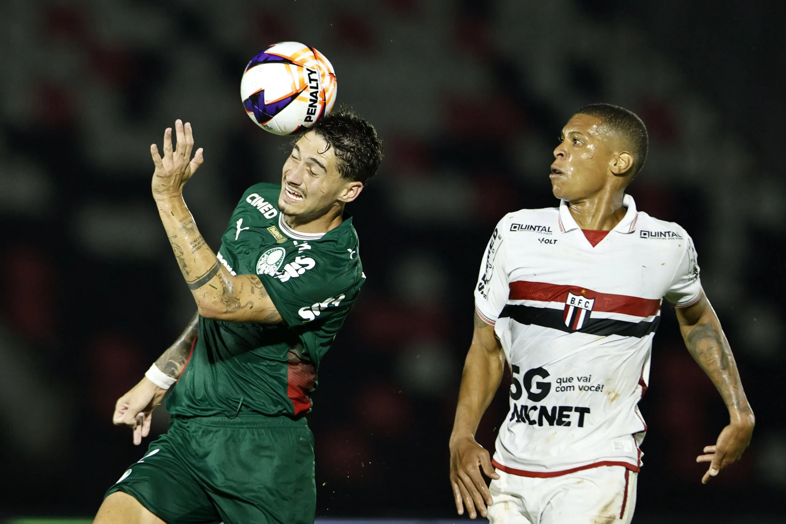Emiliano Martinez jogador do Palmeiras durante partida contra o Botafogo-SP no estadio Santa Cruz pelo campeonato Paulista 2026. Foto: Thiago Calil/AGIF