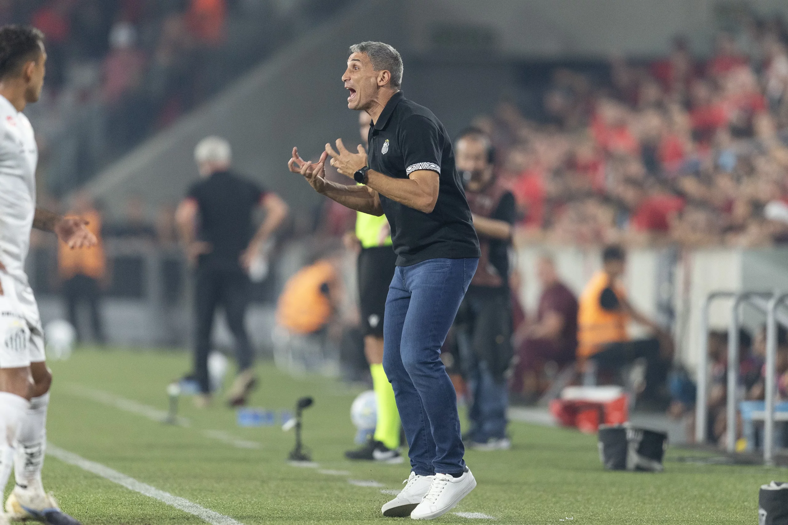  Vojvoda técnico do Santos 
