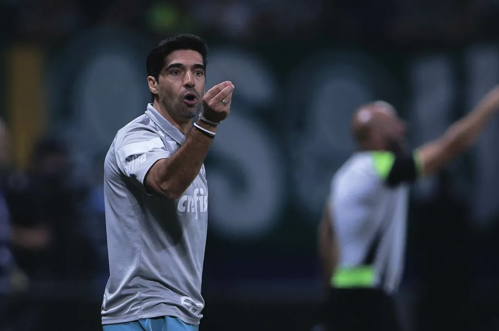 Abel em partida entre Palmeiras e Botafogo. Foto: Ettore Chiereguini/AGIF