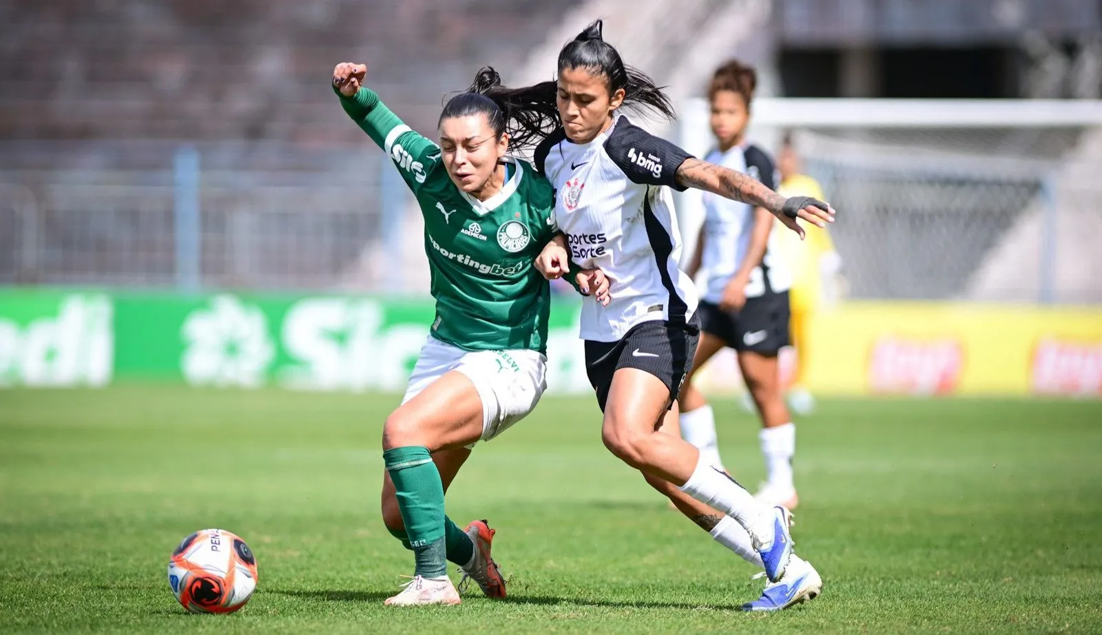 Clássico Dérbi pelo Paulistão. Foto: Divulgação/Palmeiras