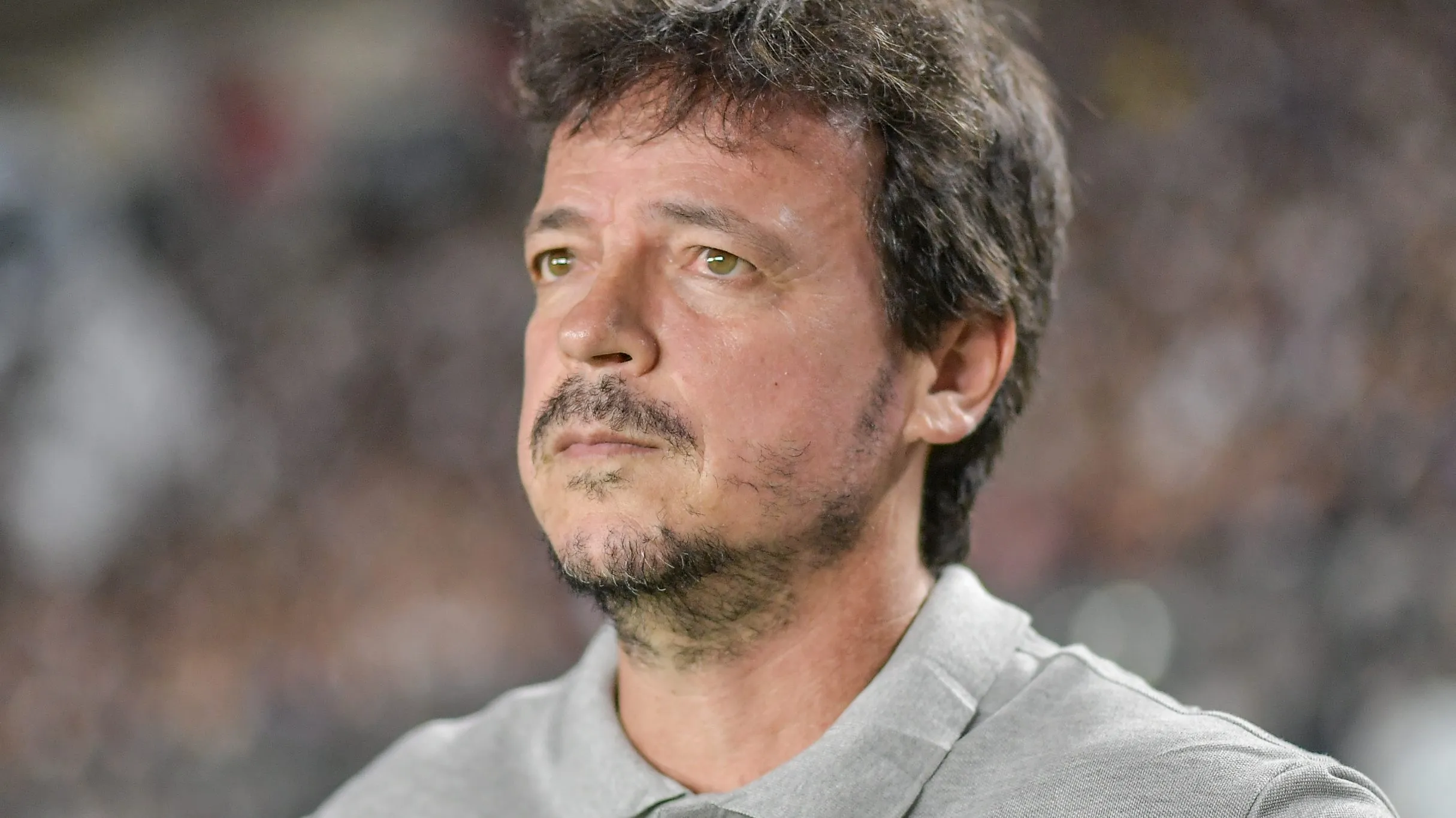 Fernando Diniz. Foto: Thiago Ribeiro/AGIF