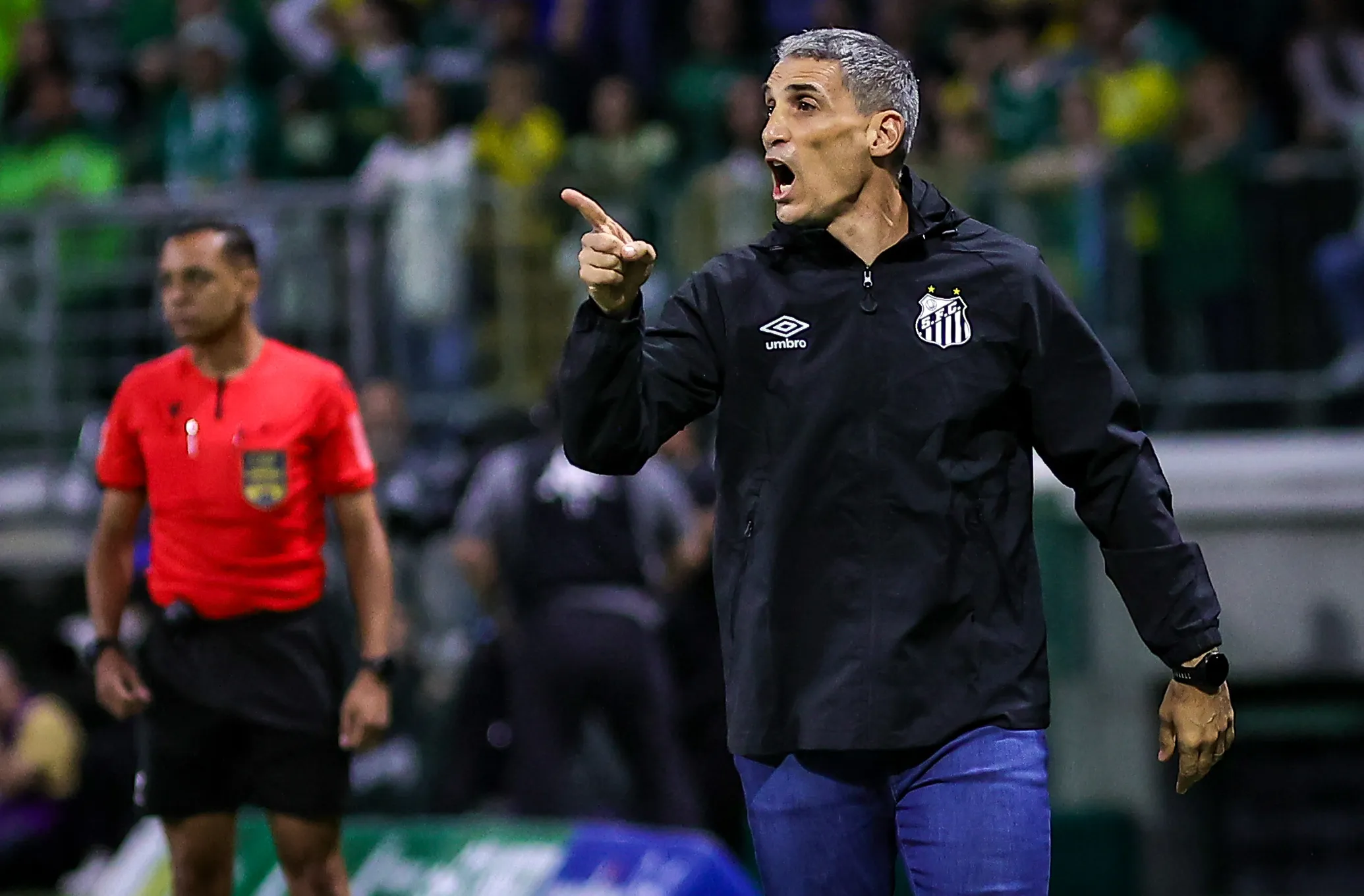 Juan Pablo Vojvoda, técnico do Santos.  Foto: Fabio Giannelli/AGIF