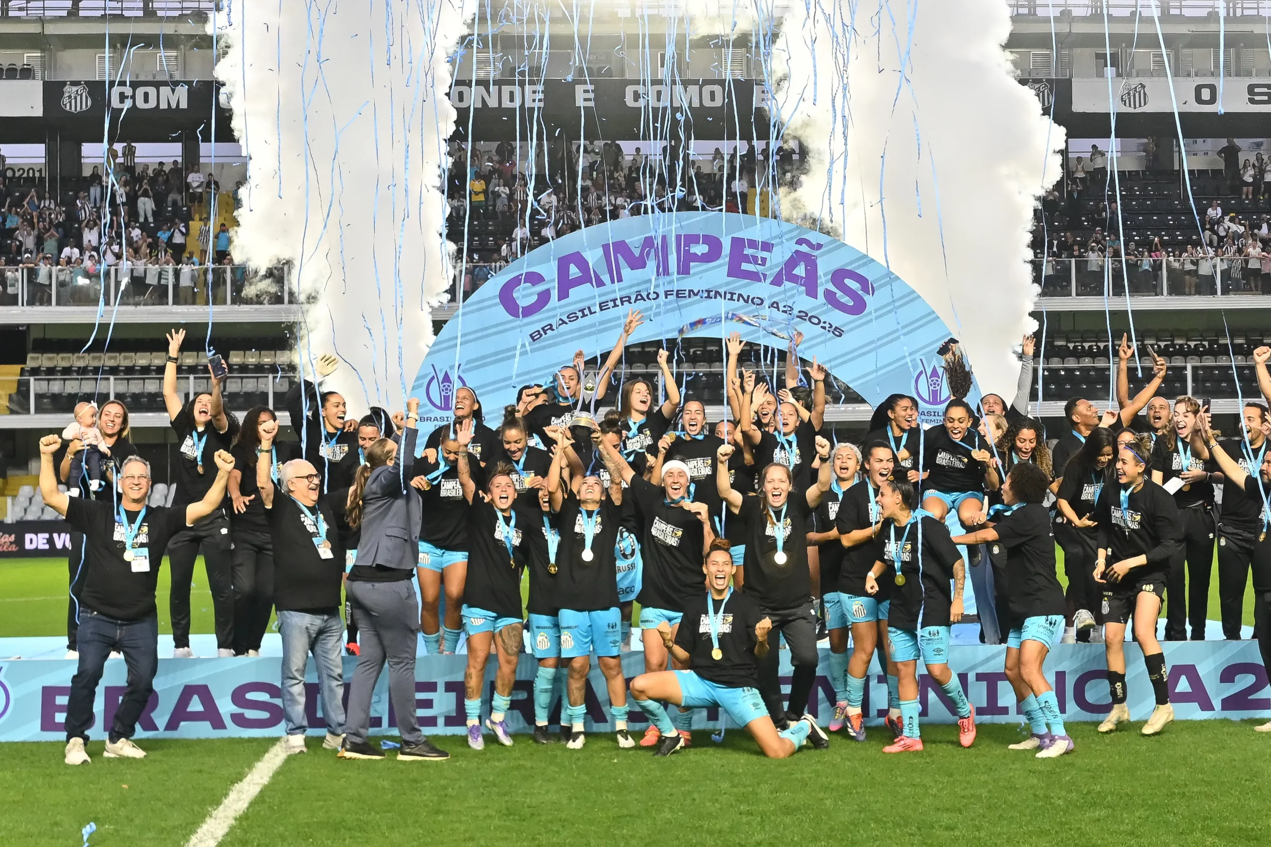 Santos conquistou o acesso na última temporada. Foto: Jota Erre/AGIF