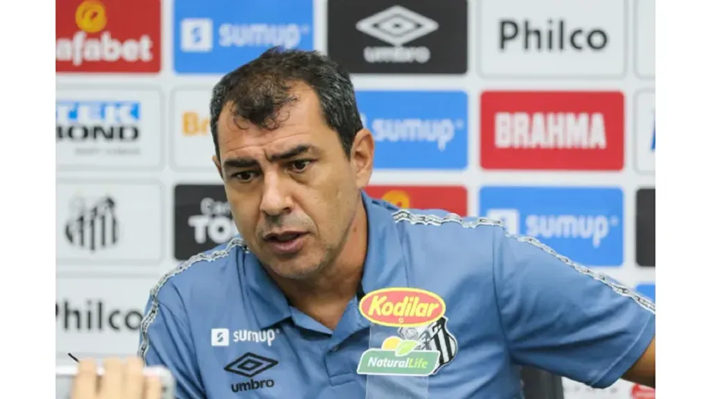 Foto: Luiz Erbes/AGIF – Fábio Carille, técnico do Santos