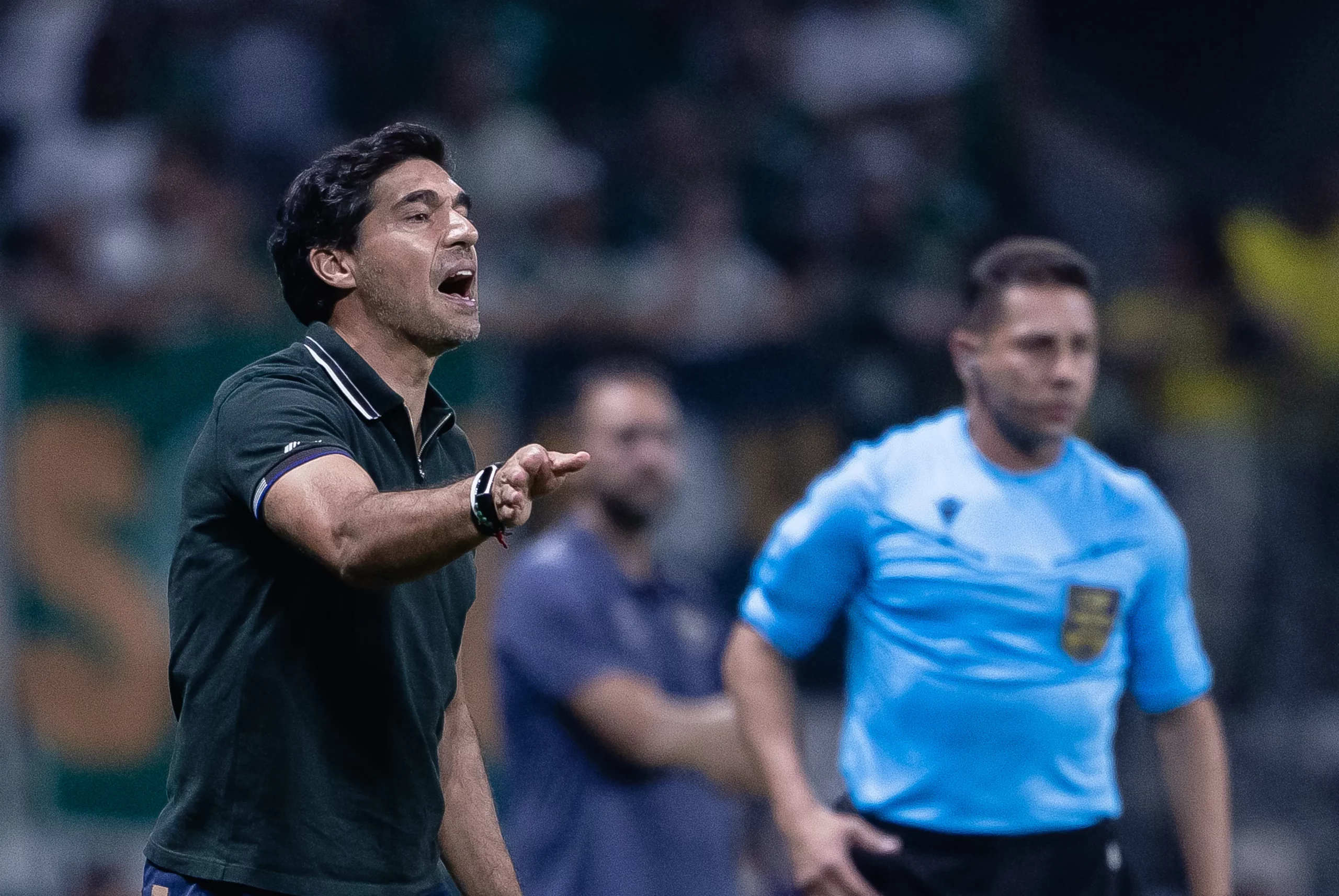 Abel Ferreira durante partida contra o Botafogo. Foto: Ettore Chiereguini/AGIF