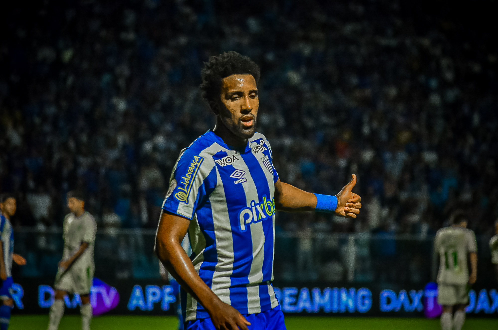 Agif/R.Pierre – Bruno Cortez é um dos que retornam ao Avaí