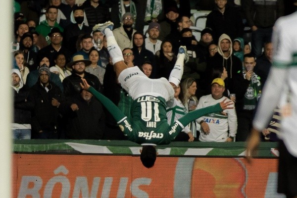Agif/Robson Mafra – Rony lidera vitória do Palmeiras no Brasileirão, que acaba com história negativa no Paraná