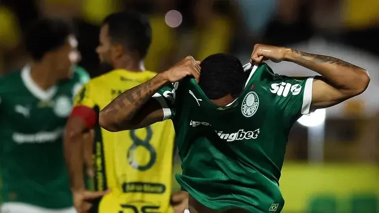 Allan Palmeiras