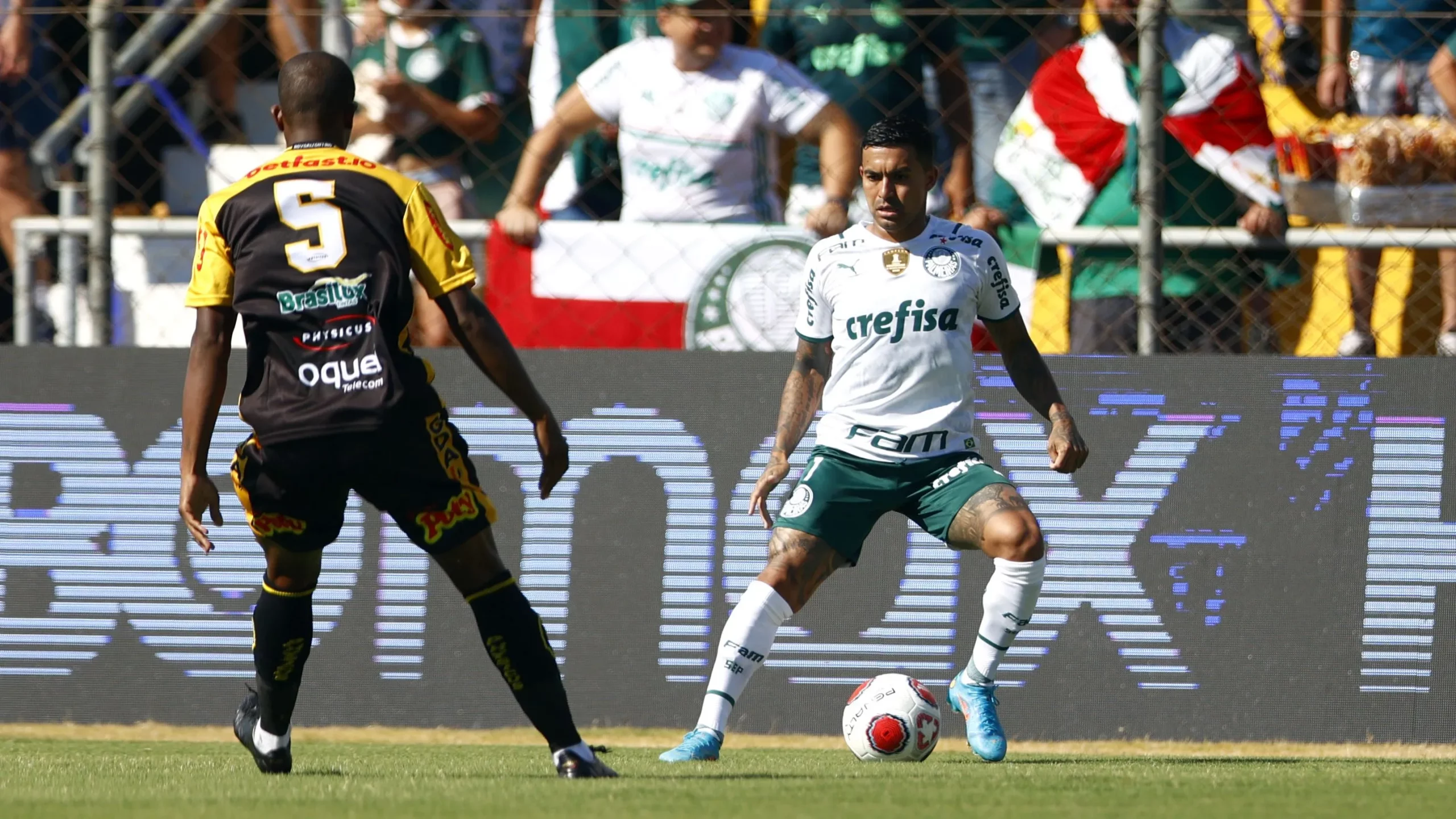 Dudu jogador do Palmeiras durante partida contra o Novorizontino no estadio Jorge Ismael de Biasi pelo campeonato Paulista 2022. Foto: Thiago Calil/AGIF
