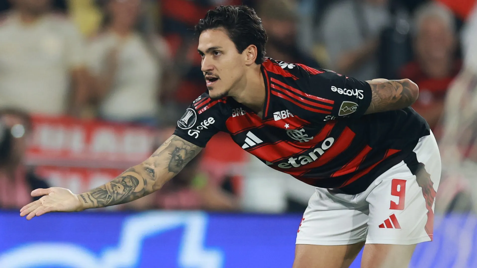 Pedro, do Flamengo