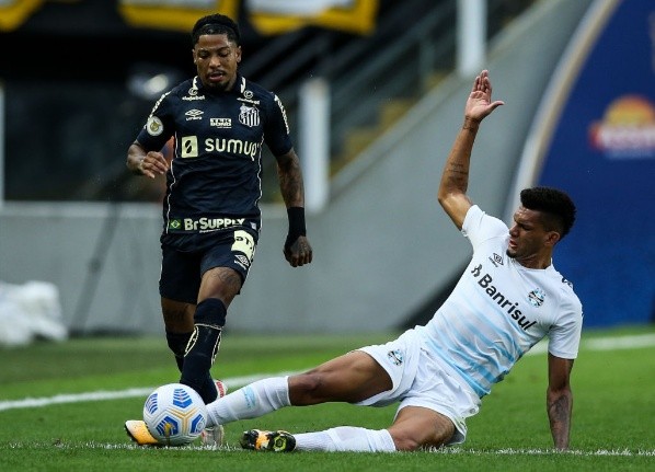 Alexandre Schneider/Getty Images/ Desde 2019 no Santos, Marinho teve ótimos números somente em uma temporada; veja as estatísticas 