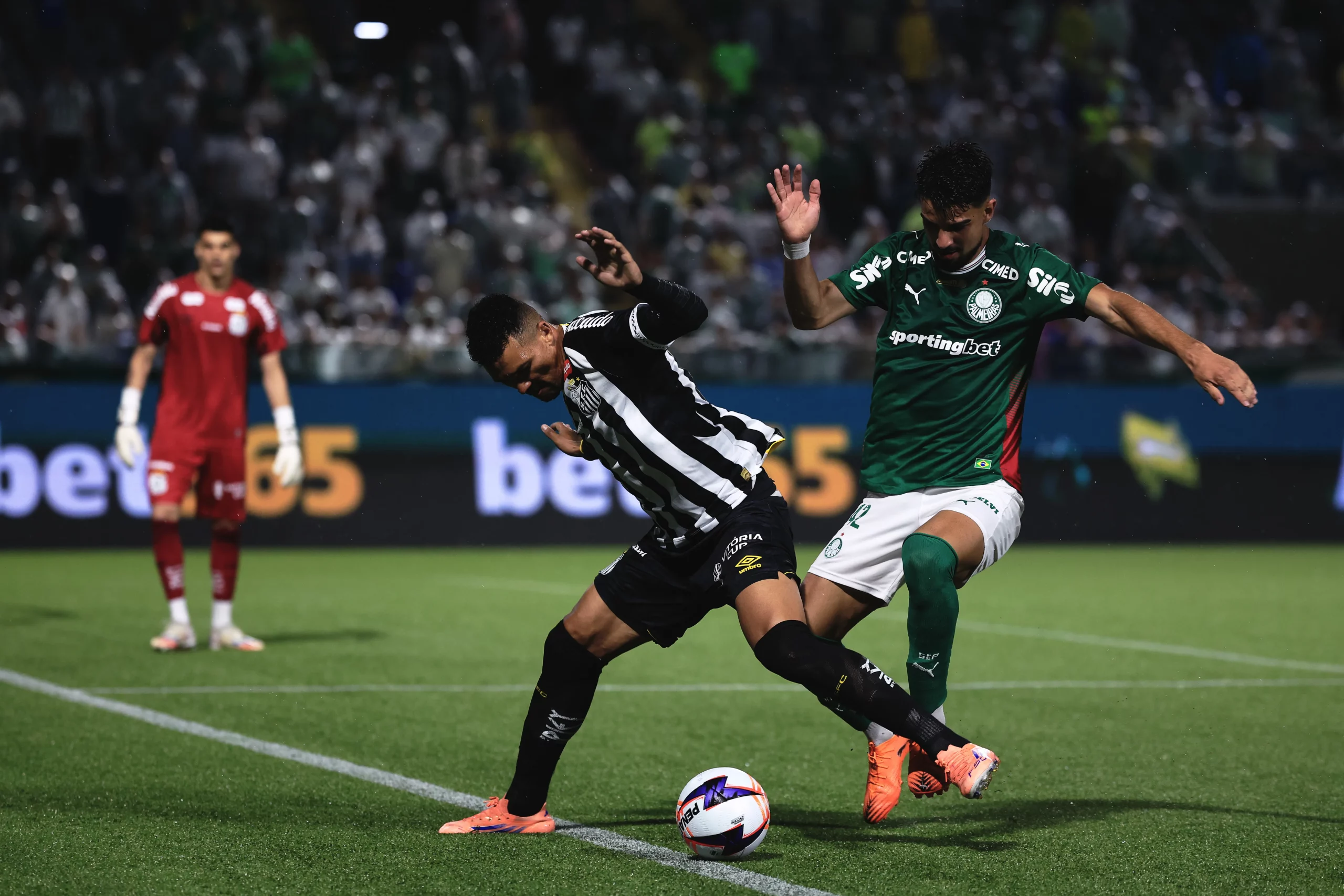Palmeiras venceu o Santos pelo Paulistão. Foto: Ettore Chiereguini/AGIF