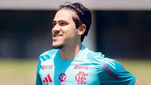 Foto: Gilvan de Souza/Flamengo