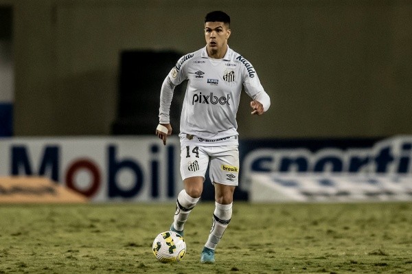 Foto: Ivan Storti/Santos FC