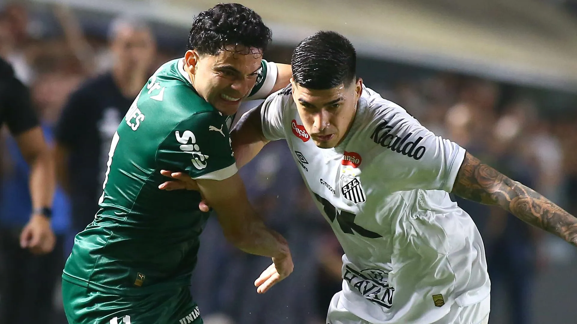 Santos x Palmeiras