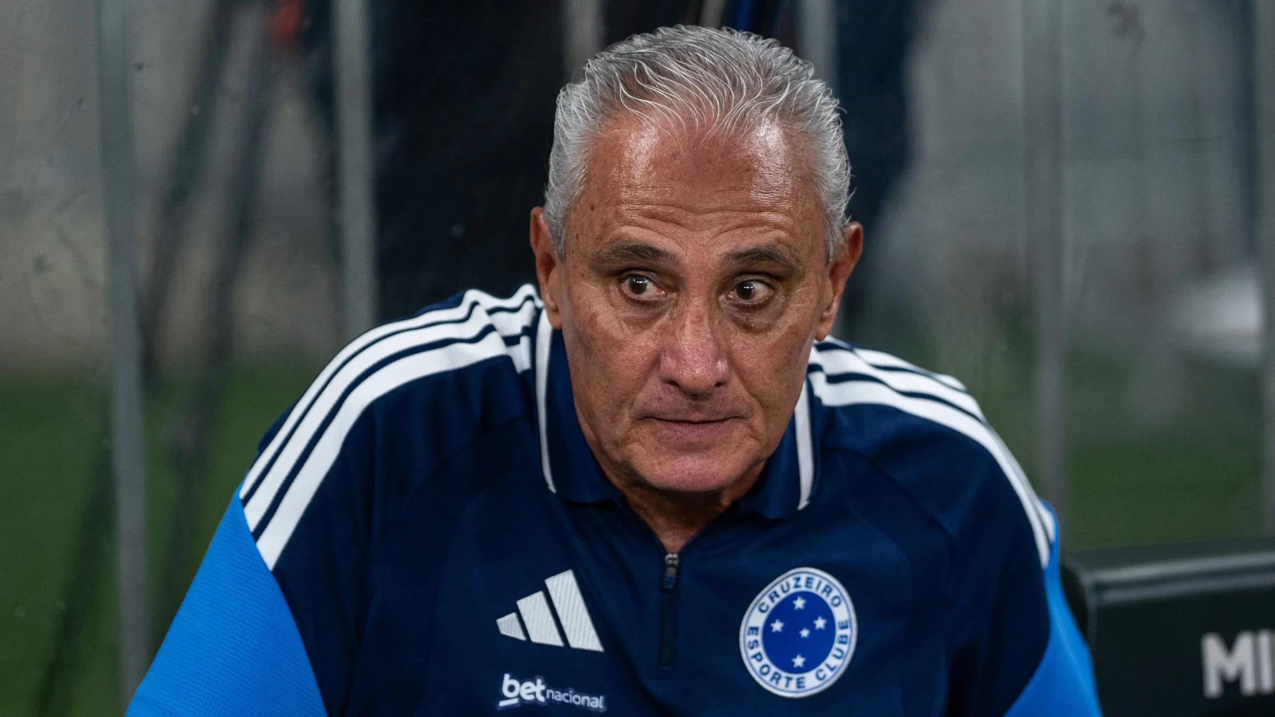 Tite é o atual técnico do Cruzeiro. Foto: Alessandra Torres/AGIF