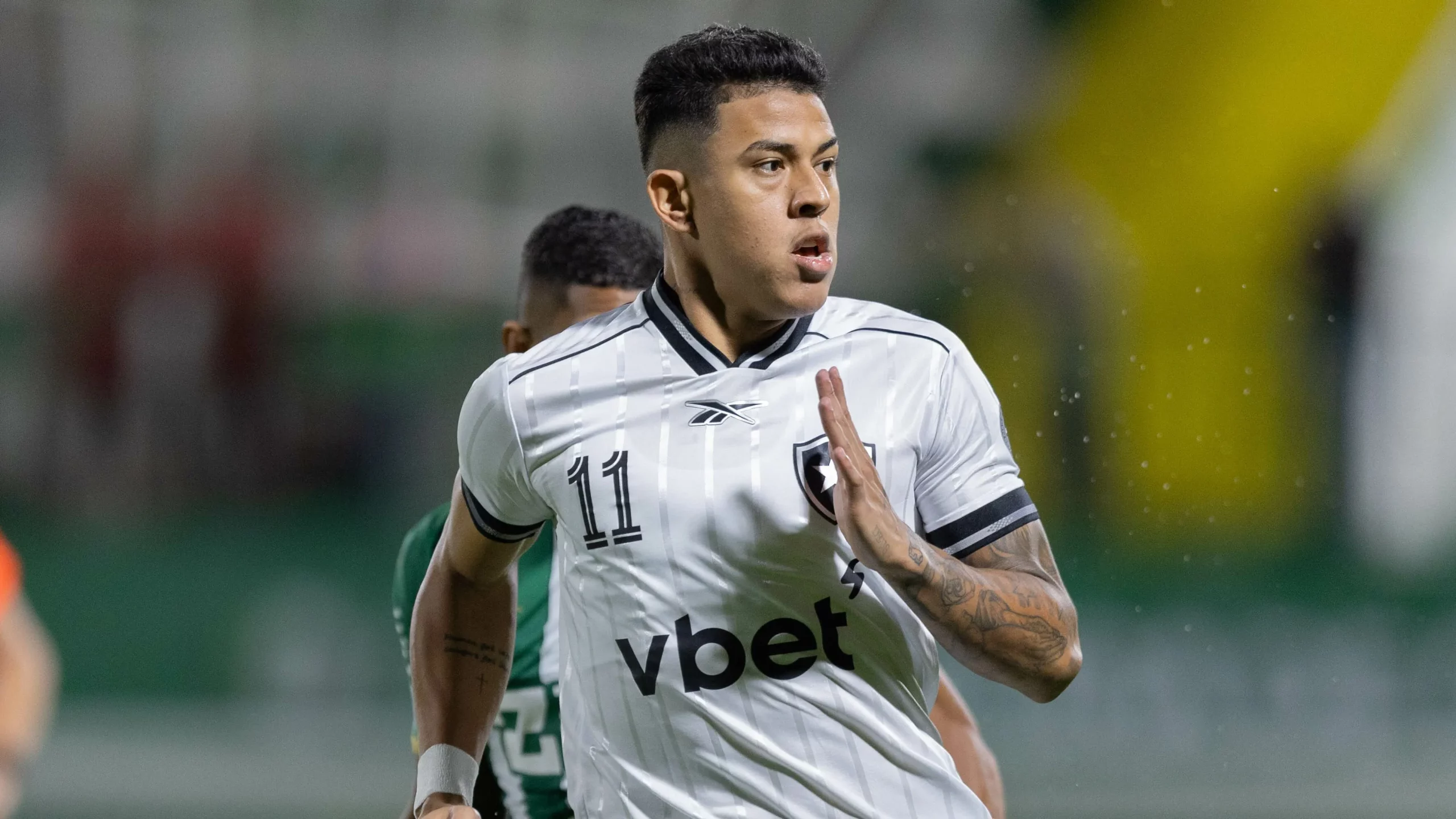 Chapecoense x Botafogo - Foto: Liamara Polli/AGIF.