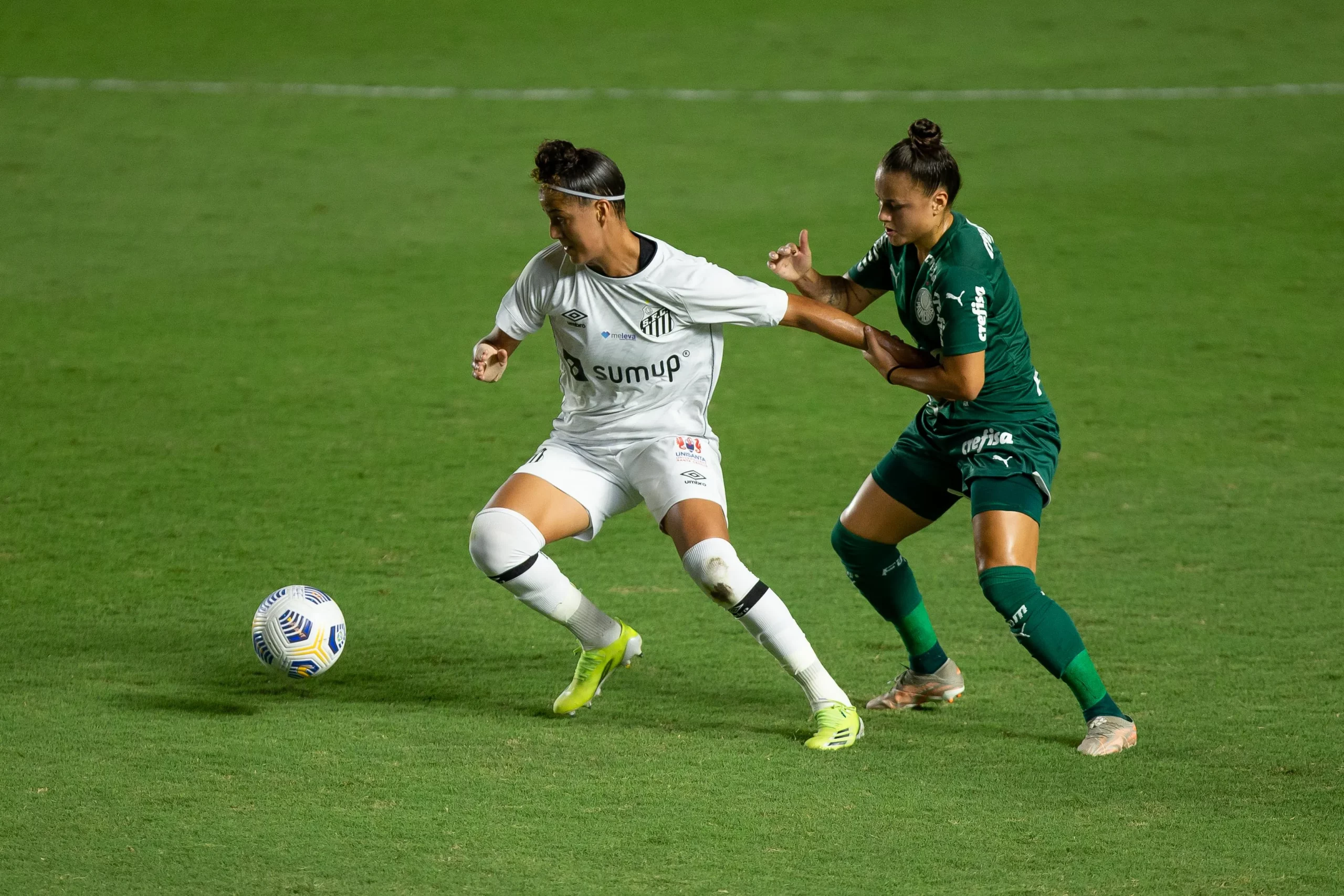 Palmeiras x Santos. Foto: Rebeca Reis/AGIF
