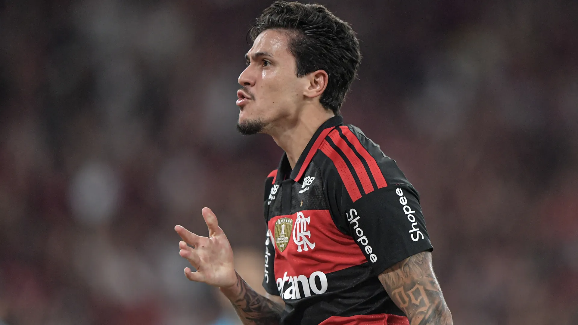 Pedro é a referência ofensiva do Flamengo – Foto: Thiago Ribeiro/AGIF