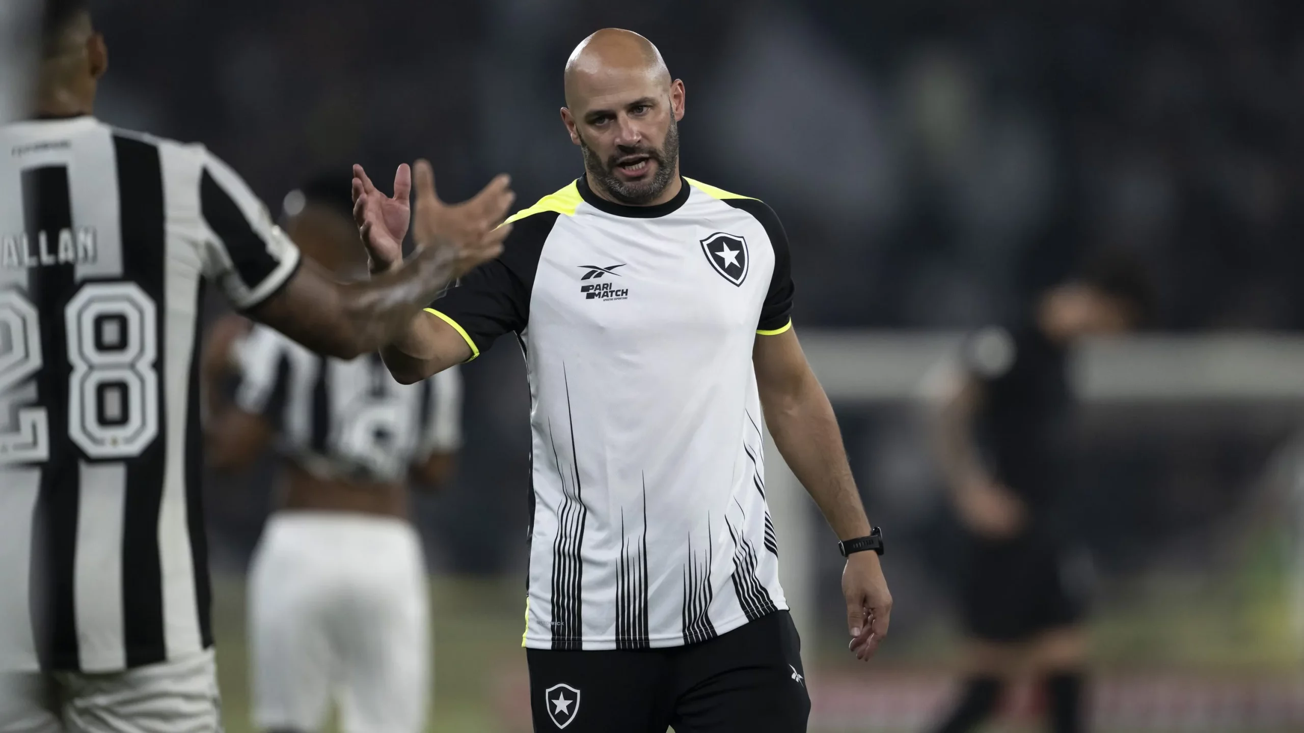 Franclim Carvalho, técnico do Botafogo – Foto: Jorge Rodrigues/AGIF