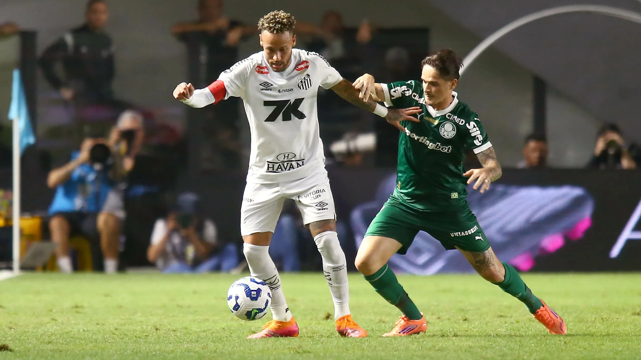 Palmeiras x Santos. Foto: Mauricio De Souza/AGIF