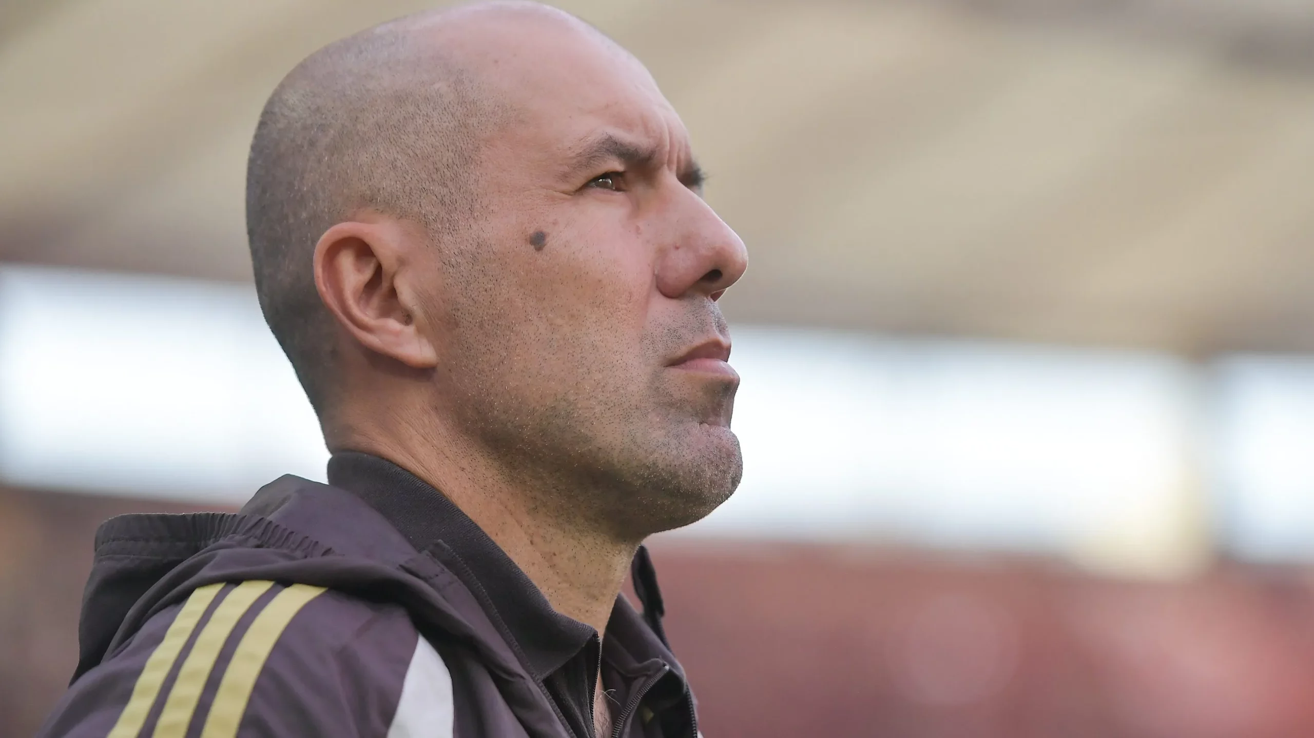 Leonardo Jardim. Foto: Thiago Ribeiro/AGIF