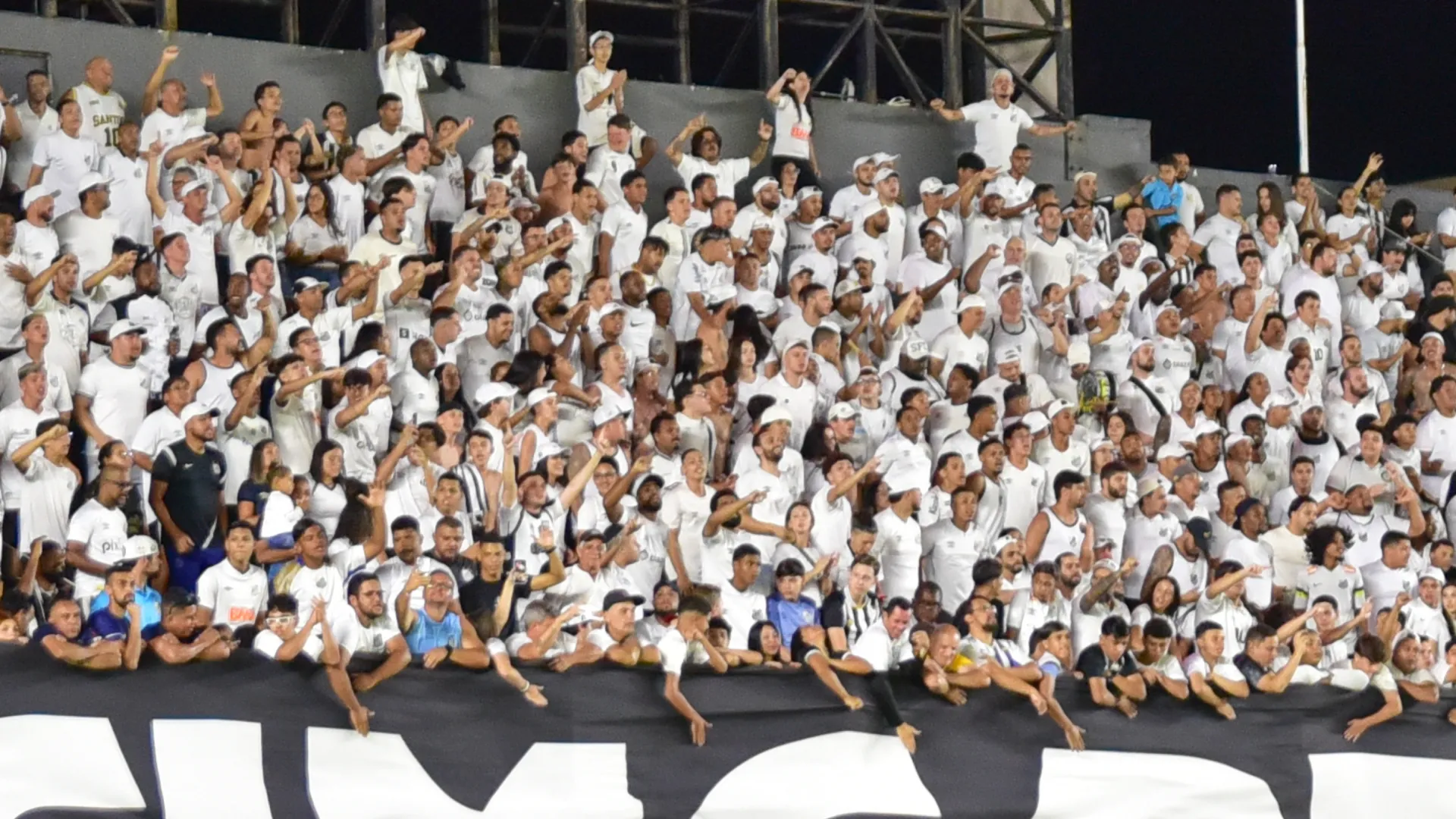 Torcedores do Santos apioando o time – Foto: Jota Erre/AGIF