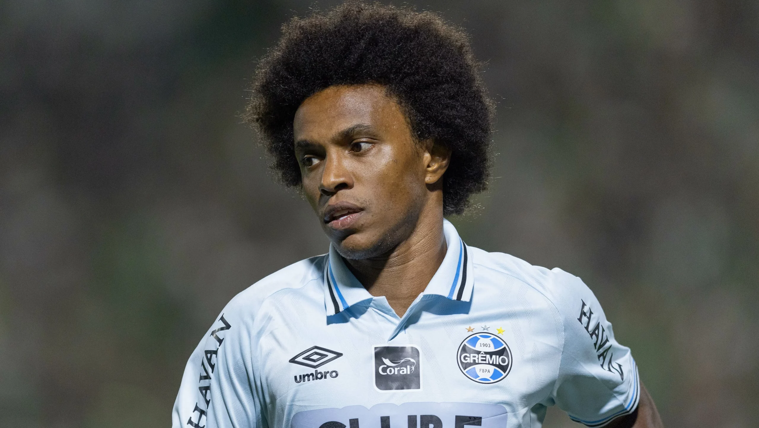 Willian. Foto: Liamara Polli/AGIF