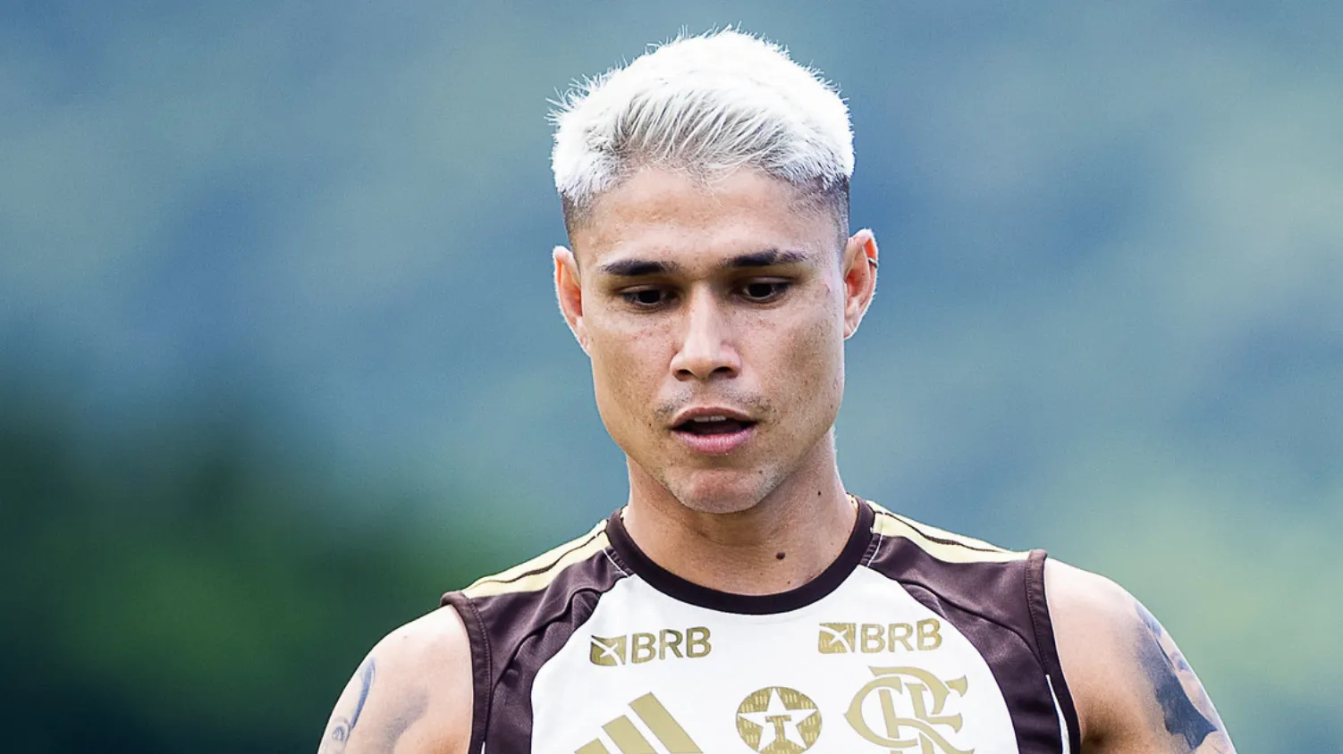 Luiz Araújo jogador do Flamengo