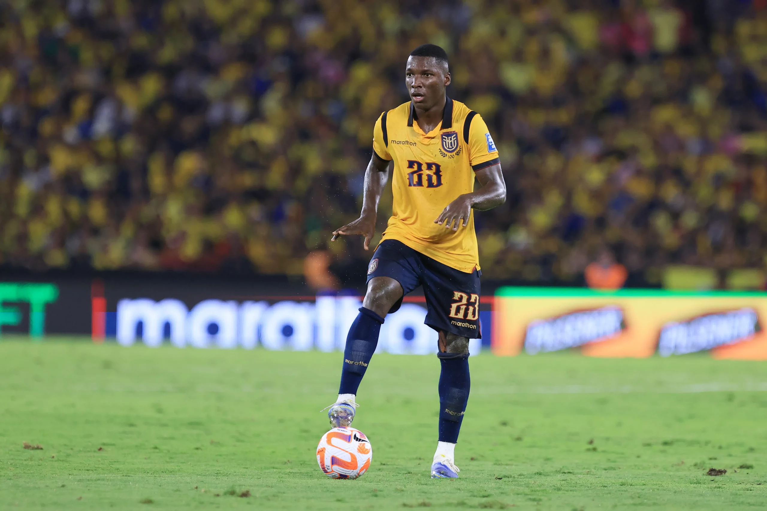 Moisés Caicedo - Equador. Foto: Franklin Jacome/Getty Images