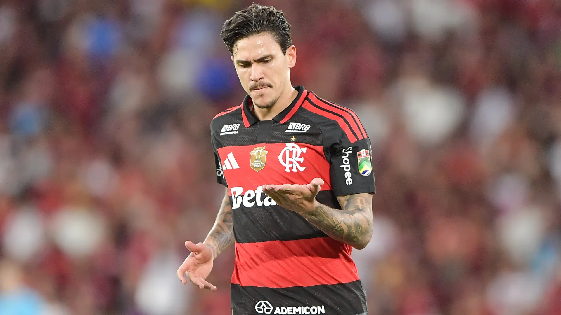 Pedro é a esperança do Flamengo para a reta final da temporada – Foto: Thiago Ribeiro/AGIF