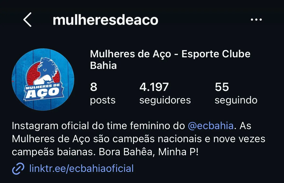 Perfil oficial das Mulheres de Aço. Foto: Reprodução/Instagram