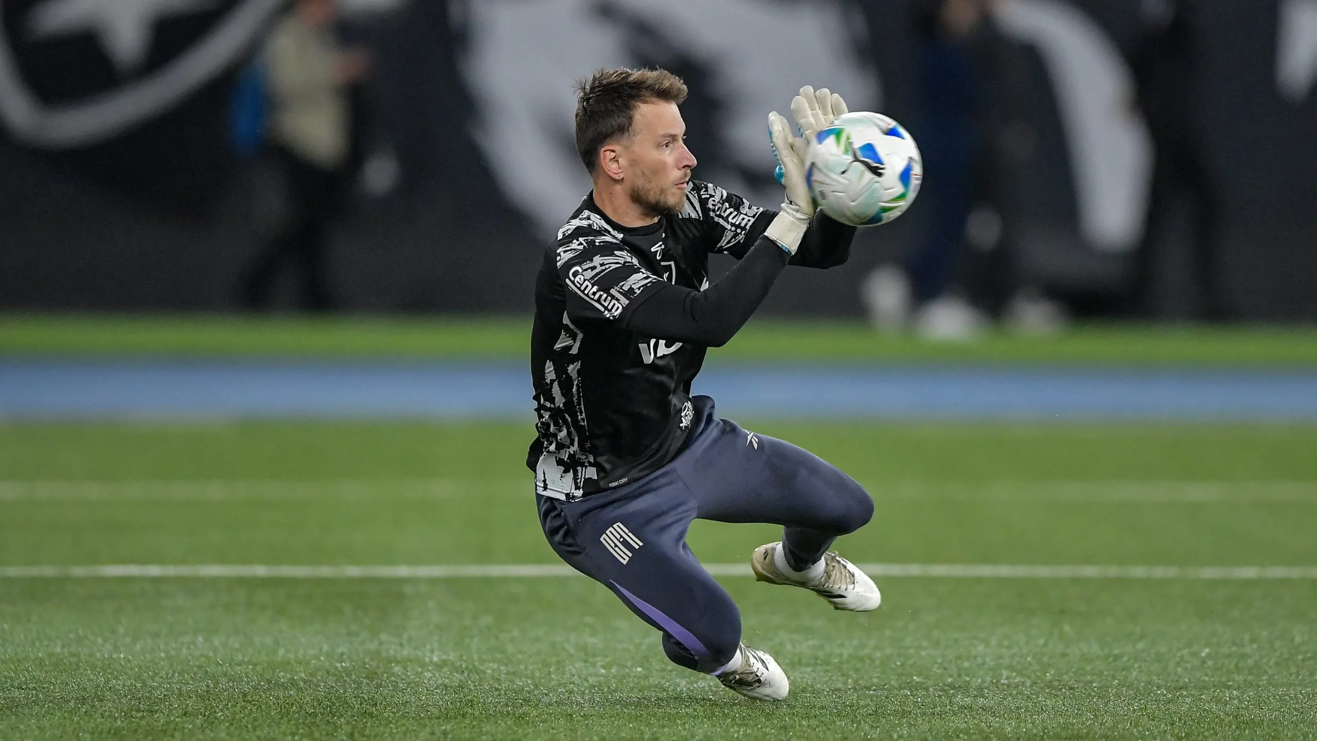 Neto goleiro do Botafogo