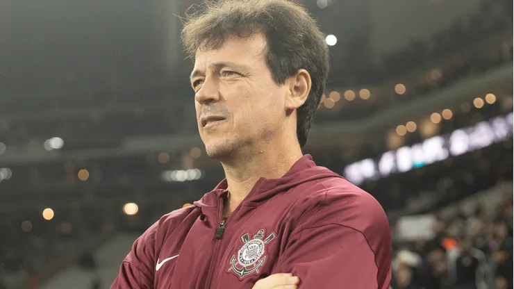 Fernando Diniz pediu contratação.